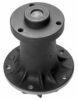 BUGATTI PA0132 Water Pump